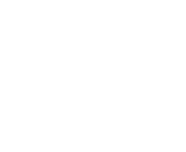 Birmingham Pedal Tours white logo